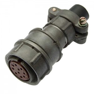 Разъем  RM22-10-TK-S-D SZC