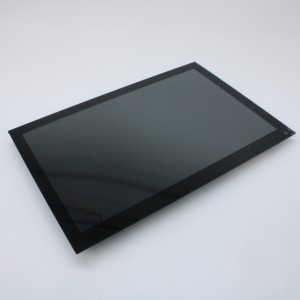 Матрица ZW-T101QIHA-39CPL Disea